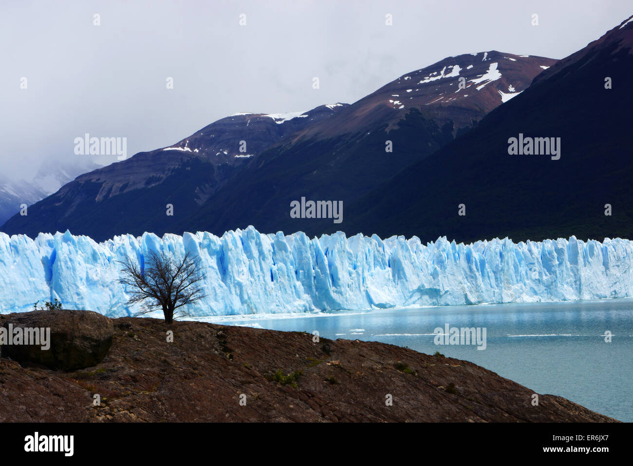 Moreno-Gletscher, toter Baum und sprunghafter Boulder, Patagonien, Argentinien Stockfoto
