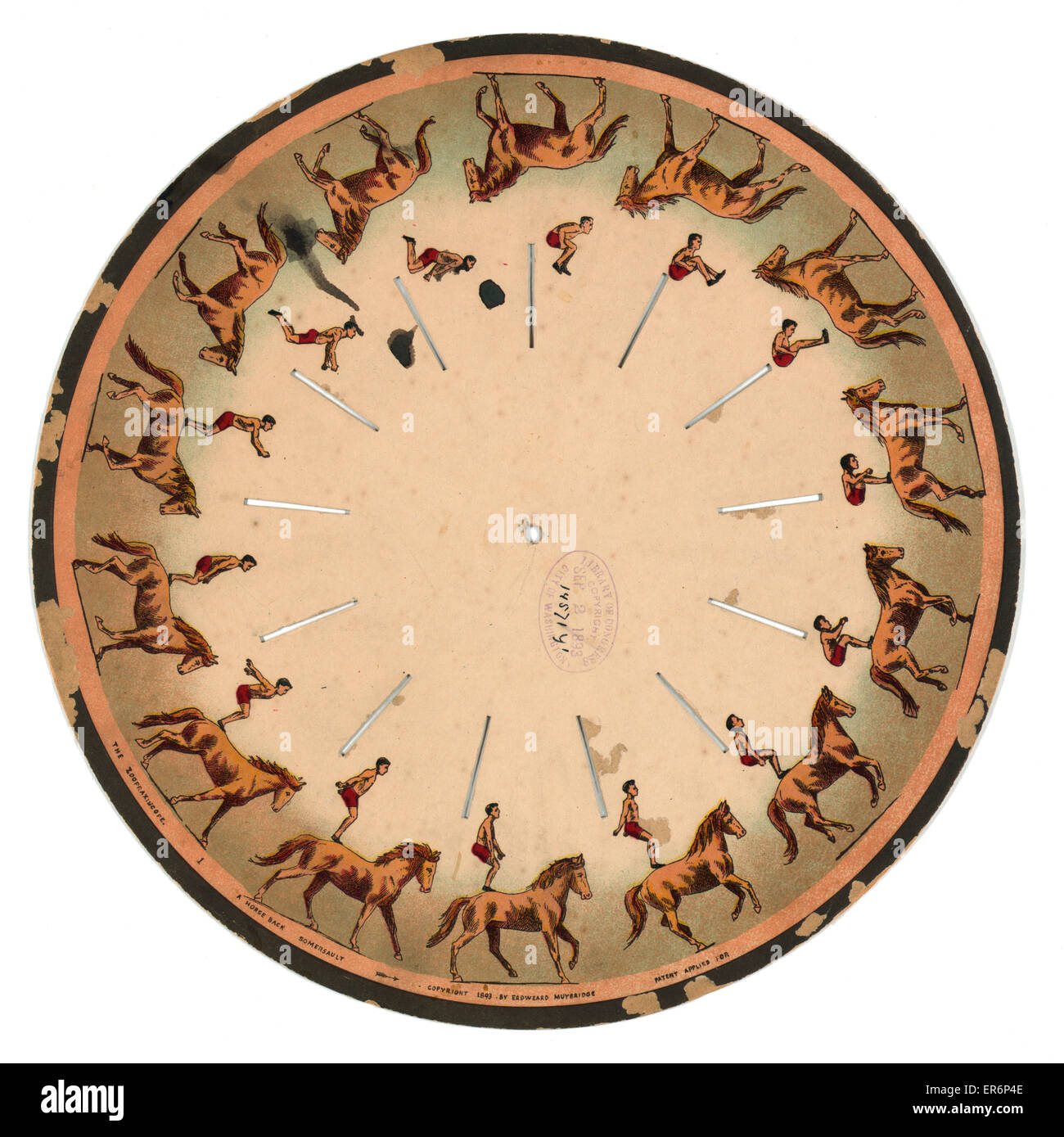 Das Zoopraxiscope - ein Pferd zurück Salto. Bilder auf einer CD die bei gesponnen gibt die Illusion eines Mannes einen Purzelbaum auf dem Pferderücken zu tun. Datum c1893. Stockfoto