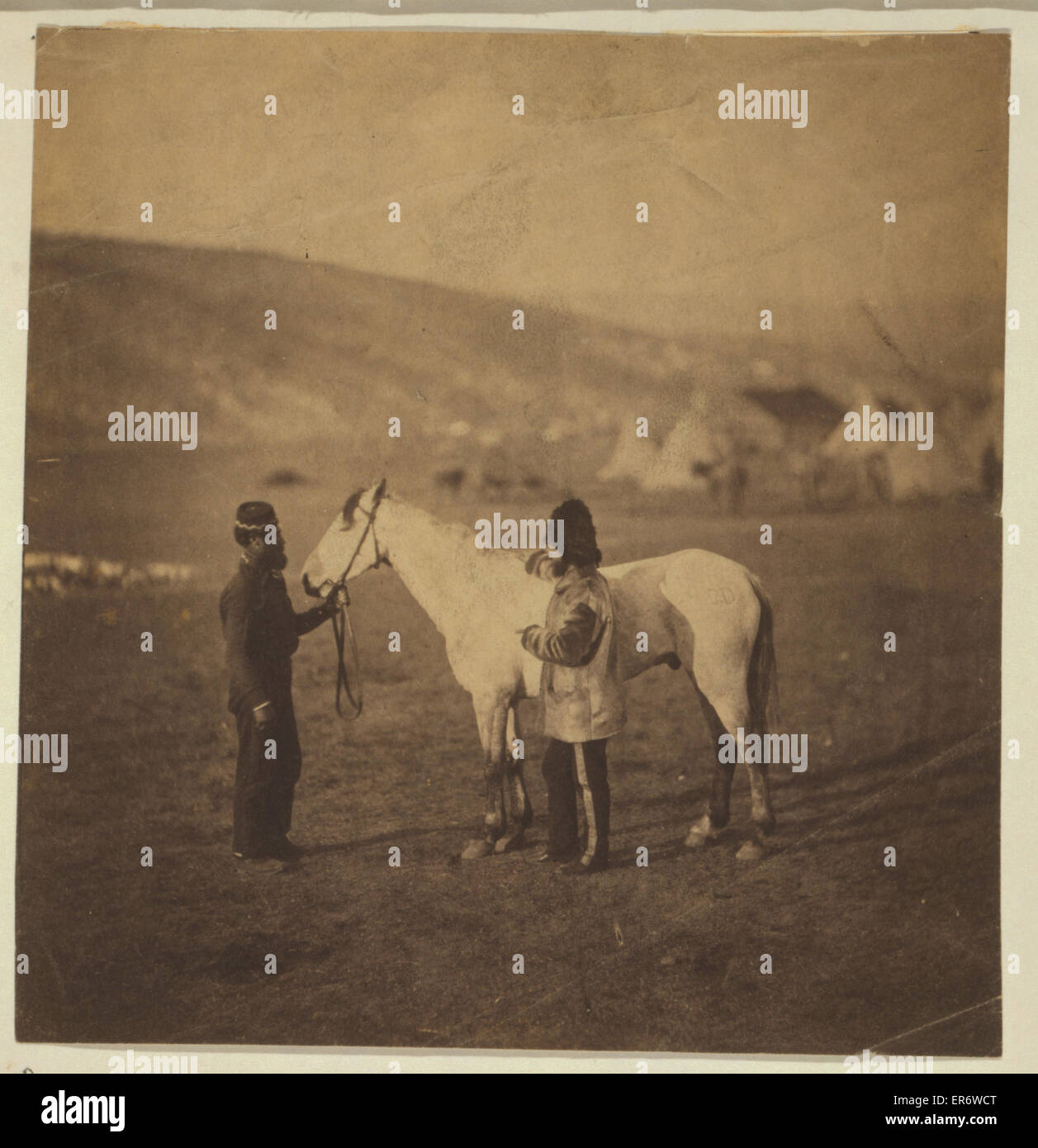 Colonel Clarke, Schottische Grauen, mit dem verwundeten Pferd in Bala Stockfoto