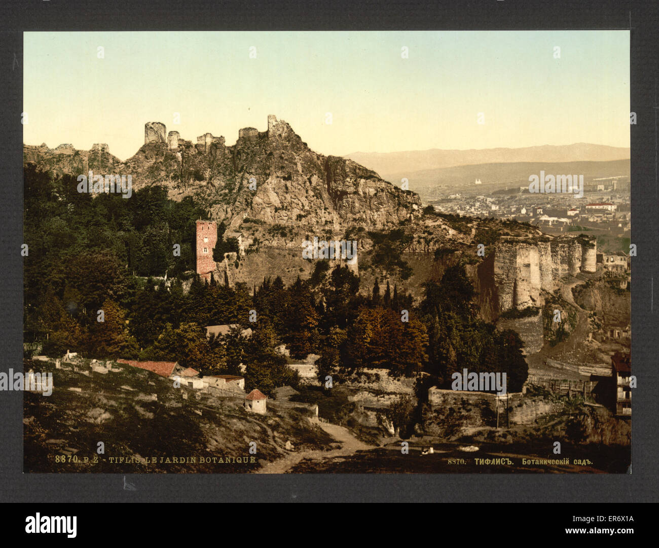 Botanische Gärten, Tiflis, Russland, (d. h., Tiflis, Georgien) Stockfoto