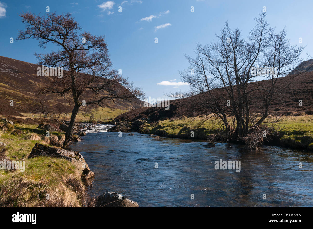 Nachschlagen von Clunie Wasser in Glen Clunie mit Creag Nan Gabhar im Hintergrund, Schottland Stockfoto