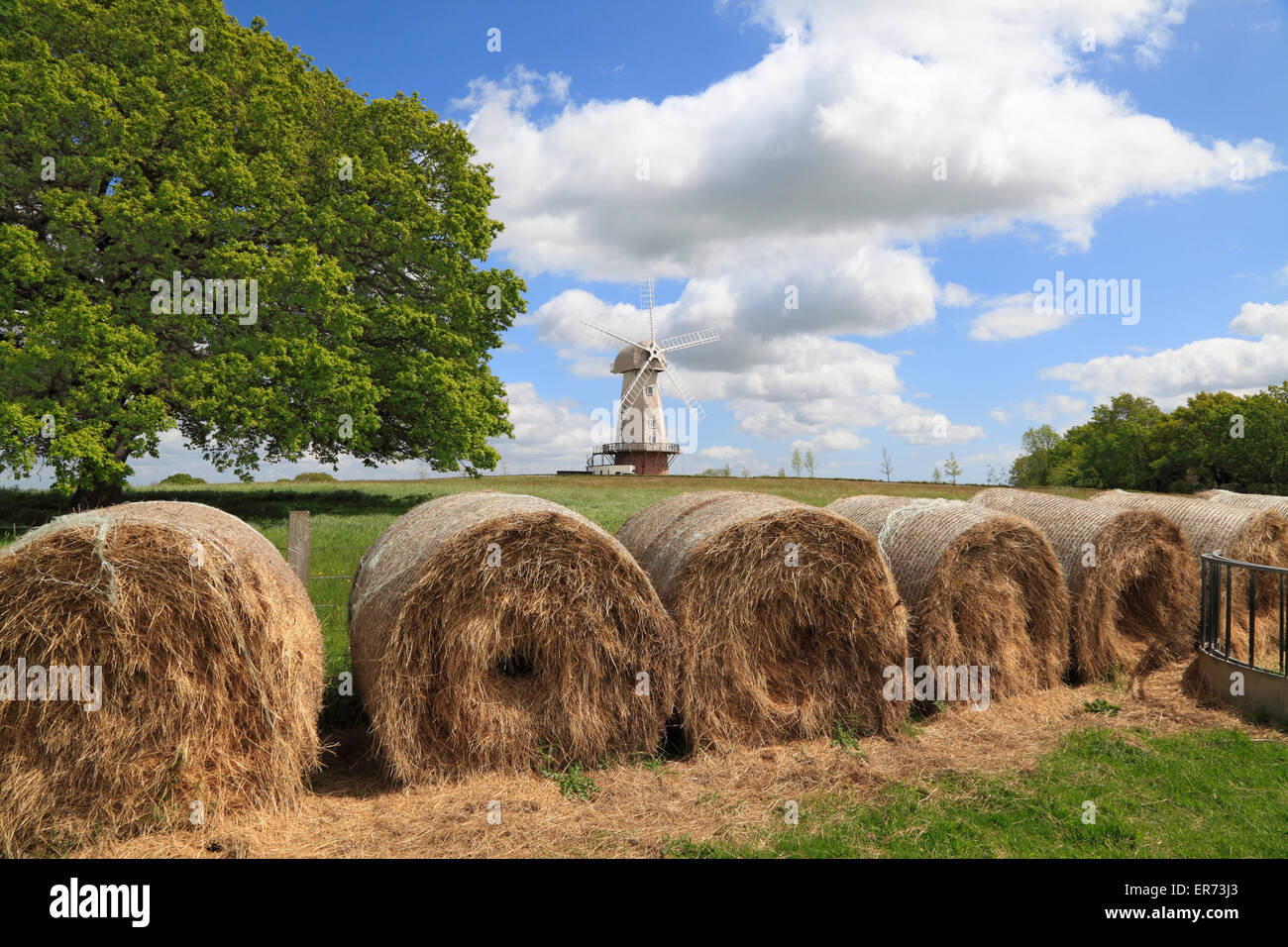 Sandhurst, Ringle ducken grüne Windmühle, Kent, UK Stockfoto