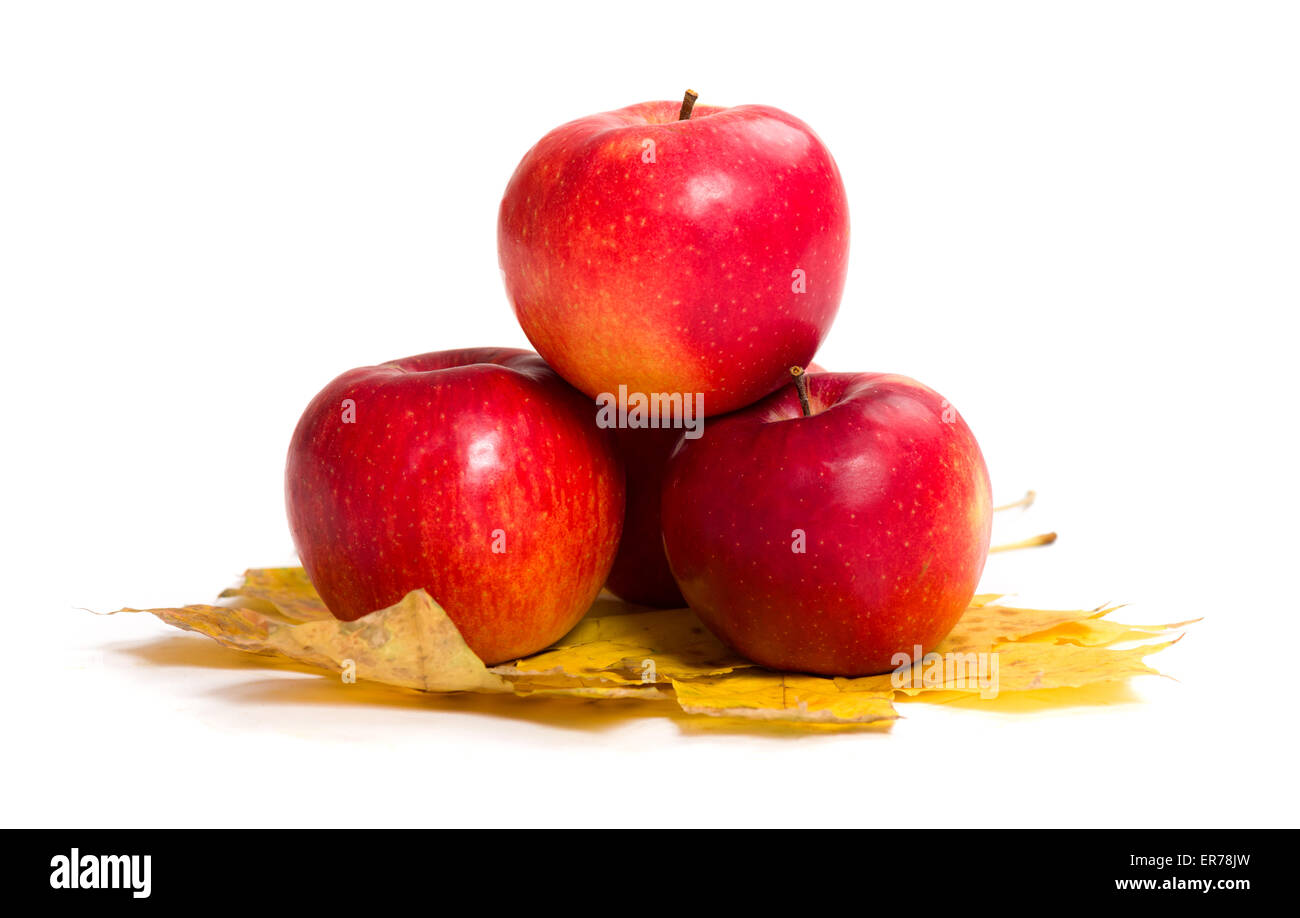 Äpfel und Herbstlaub auf weißem Stockfoto