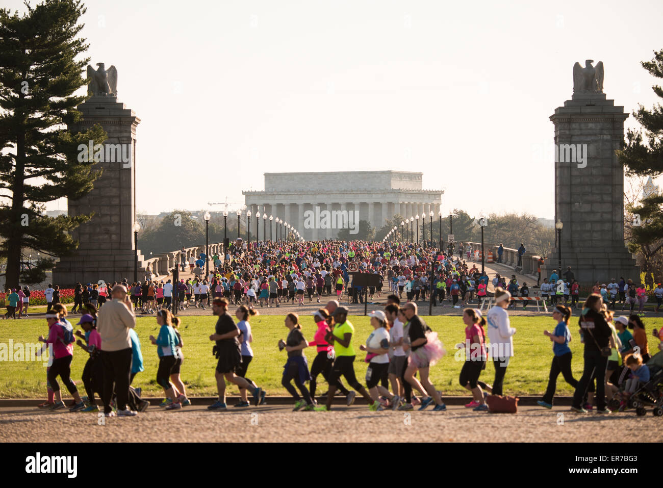 WASHINGTON DC, USA – die Läufer des Credit Union Cherry Blossom 10 Mile Run von 2015 fahren über die Arlington Memorial Bridge, mit dem Lincoln Memorial im Hintergrund. Der Cherry Blossom 10-Miler (ehemals Credit Union Cherry Blossom 10 Mile Run) findet jedes Frühjahr während des National Cherry Blossom Festival statt und zieht Tausende von Läufern an. Stockfoto