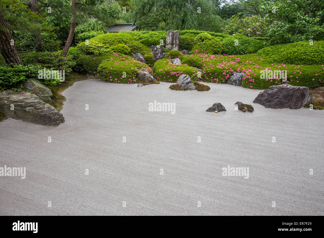 Die Karesansui-Zen-Garten geharkt Sand, Felsen und Pflanzen im Meigetsuin Tempel Garden Stockfoto