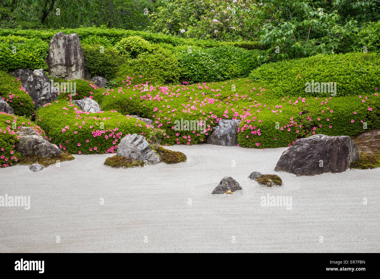Die Karesansui-Zen-Garten geharkt Sand, Felsen und Pflanzen im Meigetsuin Tempel Garden Stockfoto