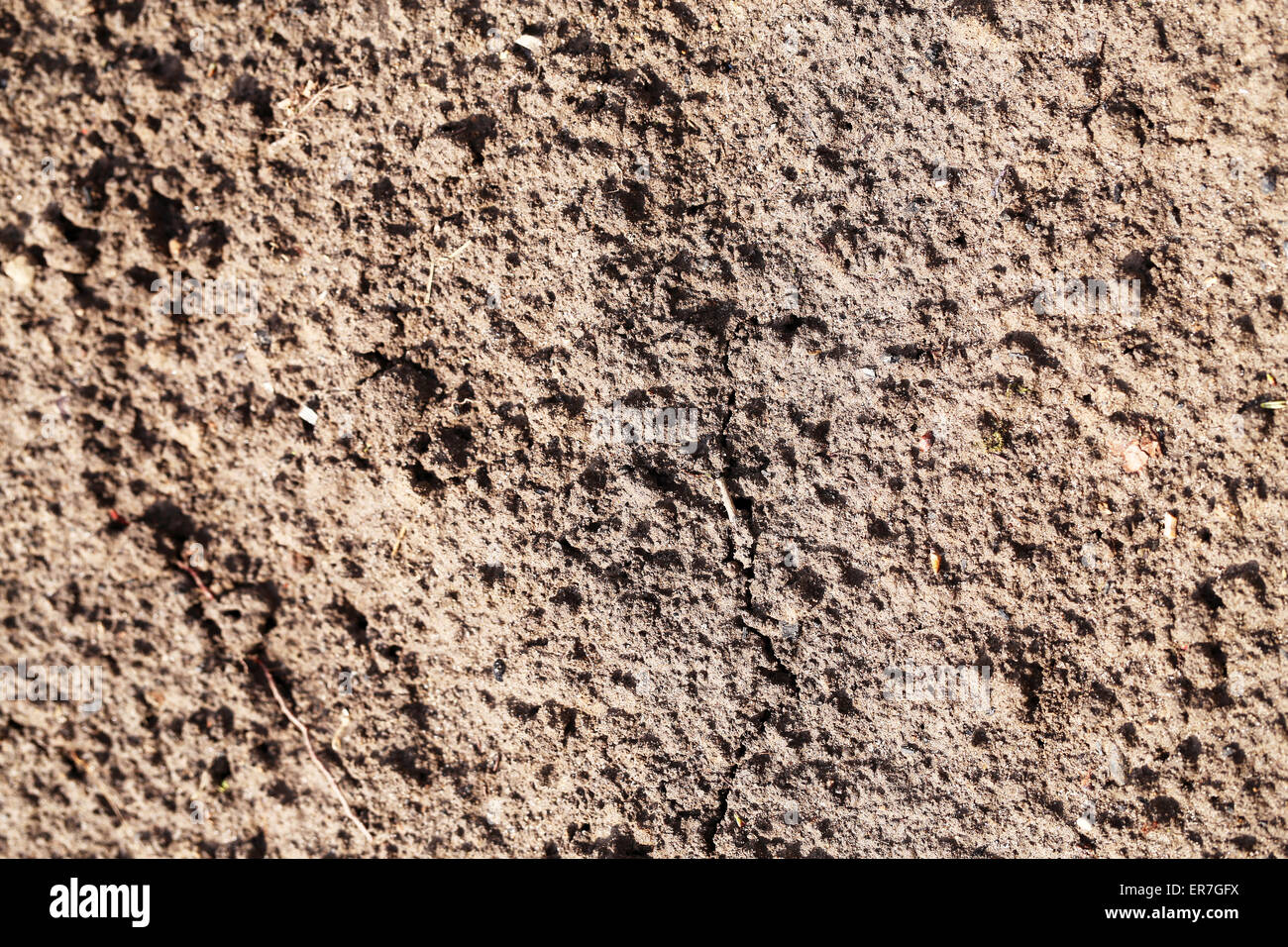 Die Textur des Bodens der fotografiert Erde hautnah Stockfoto