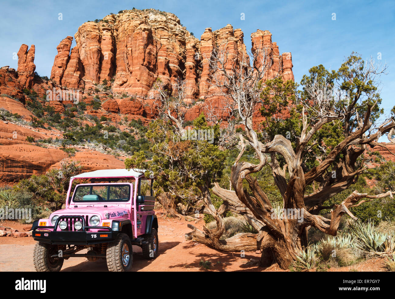Pink Jeep geparkt an Huhn Punkt in Sedona Stockfoto