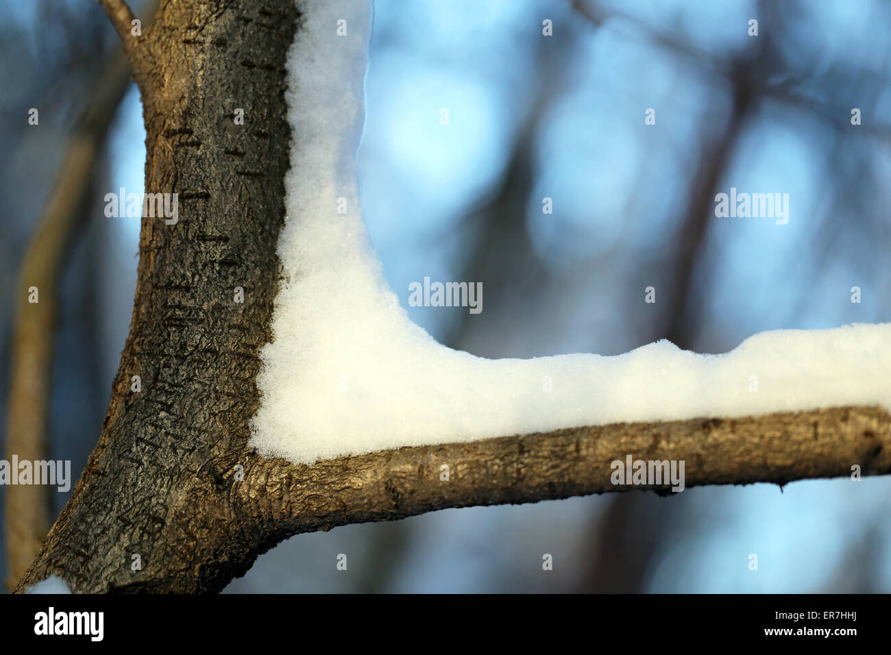 Wunderschöne Landschaft des russischen Dorfes mit Wäldern und Feldern Stockfoto