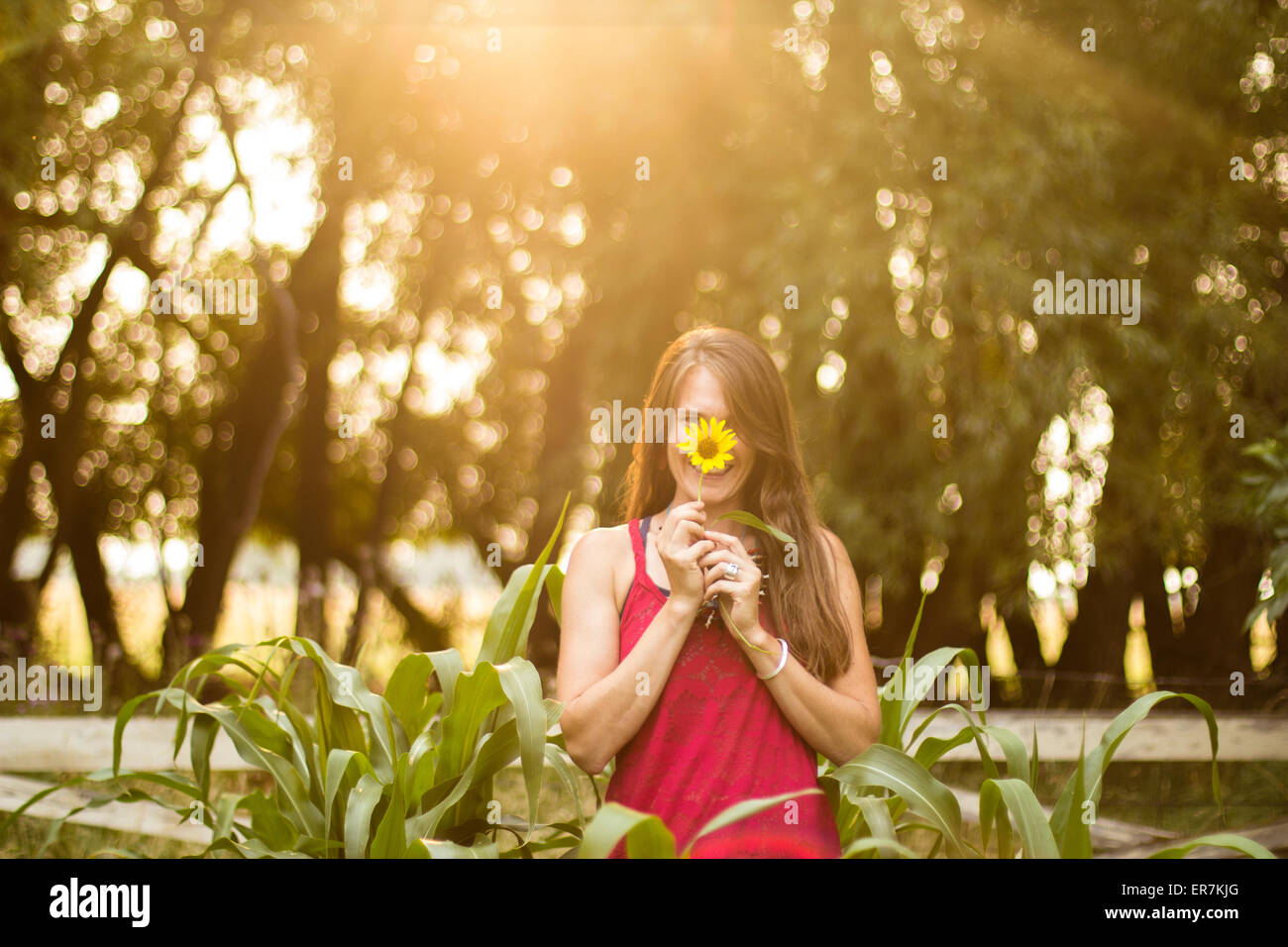 Frau lächelt eine Sonnenblume mit gedrückter Stockfoto