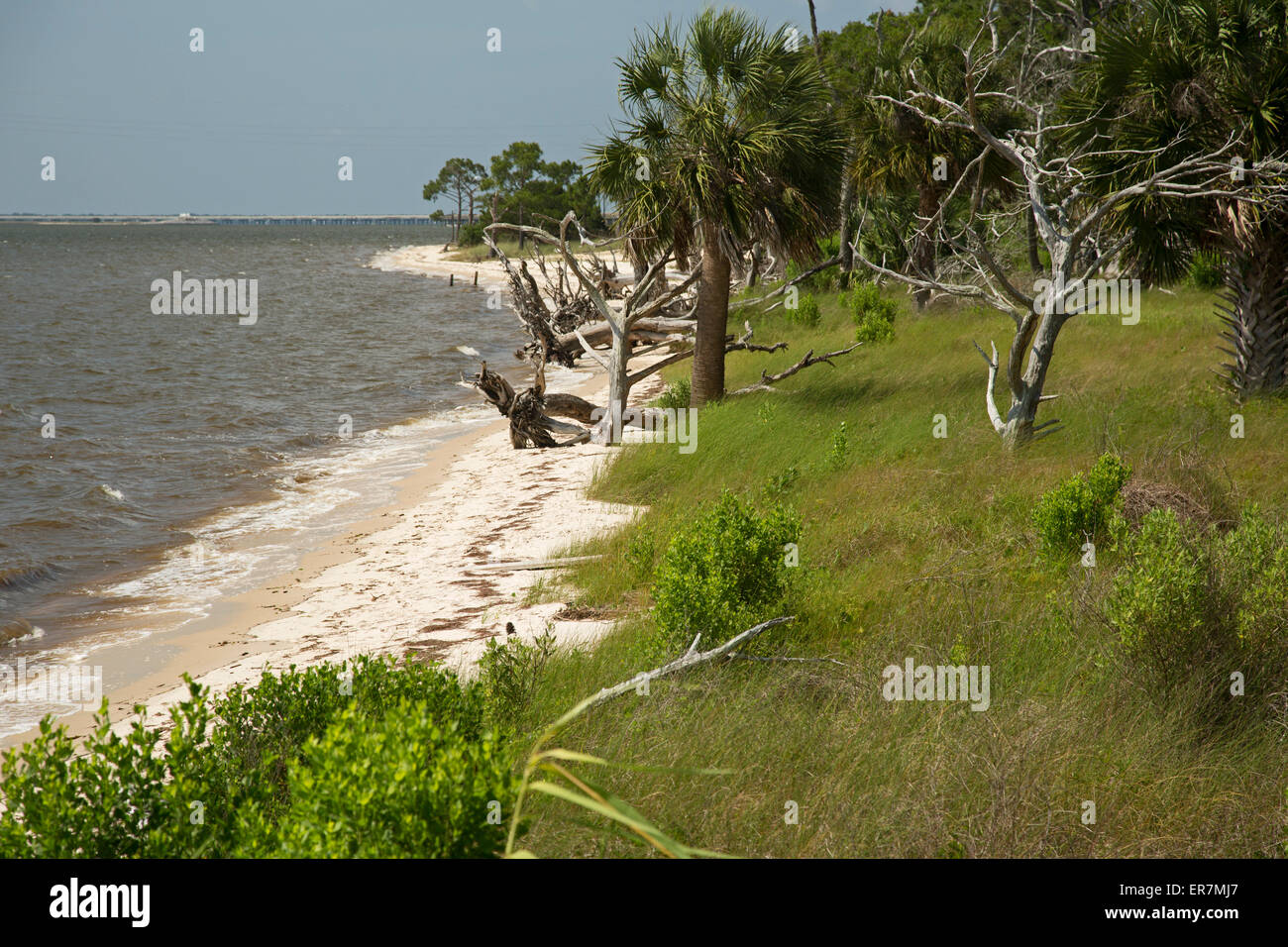 Eastpoint, Florida - Strand am Apalachicola Estuarine Research Nationalreservat. Stockfoto