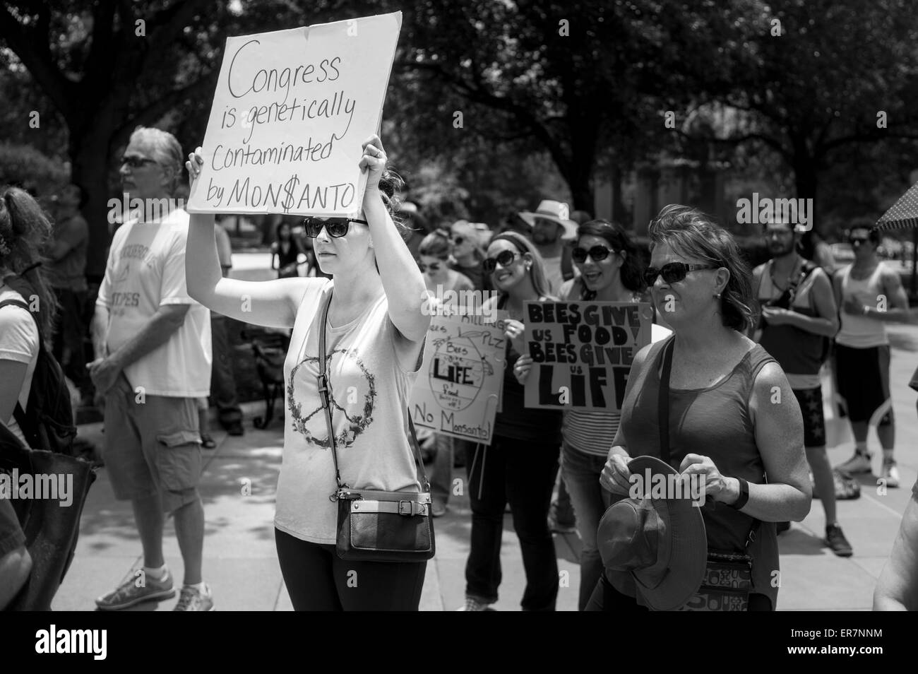 Austin, Texas, USA. 23. Mai 2015. März gegen Monsanto: Austin Stockfoto