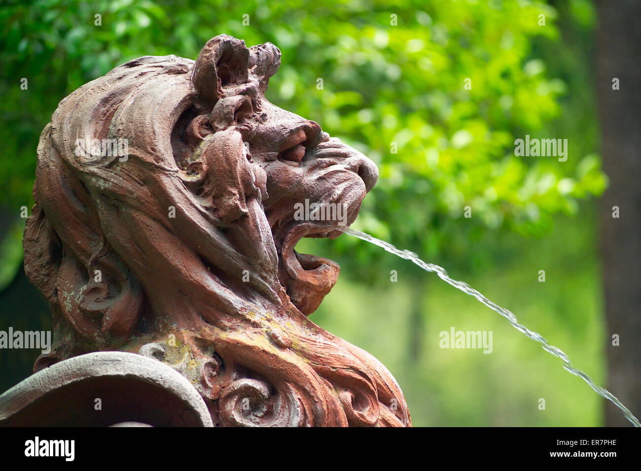 Eine grobe Hewned Betonskulptur von einem Löwenkopf schießt einen Strom von Wasser aus Brunnen Maul in Savannah, Georgia, USA. Stockfoto