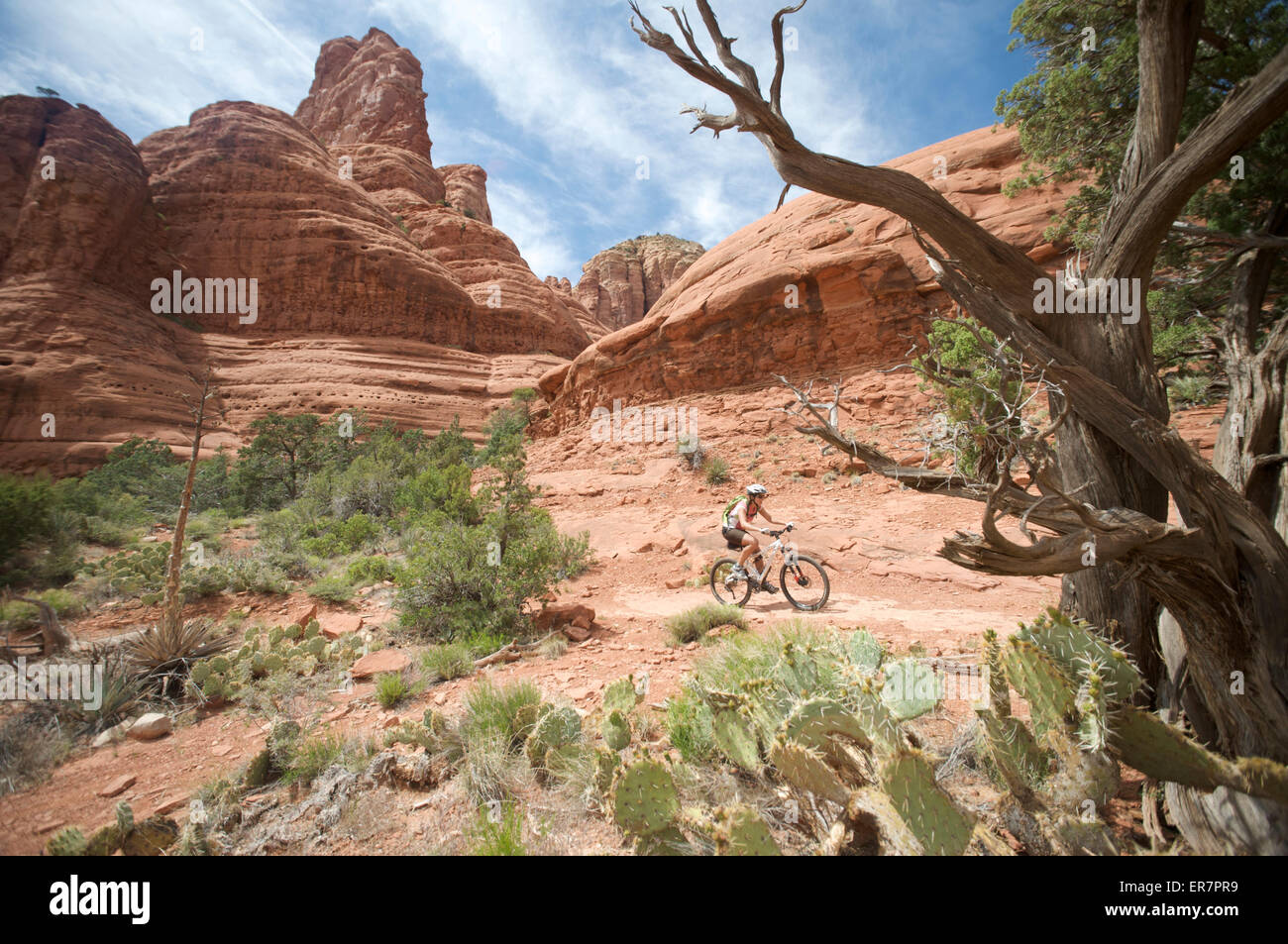 Frau reitet der u-Boot Rock Schleife im Süden Sedona, Arizona Stockfoto