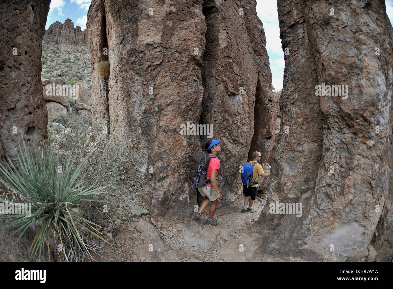 Mann und Frau Backpacker erkunden Sie die Felsformationen am Fremont Sattel auf den beliebten Peralta Weg im Wildnisgebiet Aberglaube, Tonto National Forest in der Nähe von Phoenix, Arizona November 2011. Stockfoto