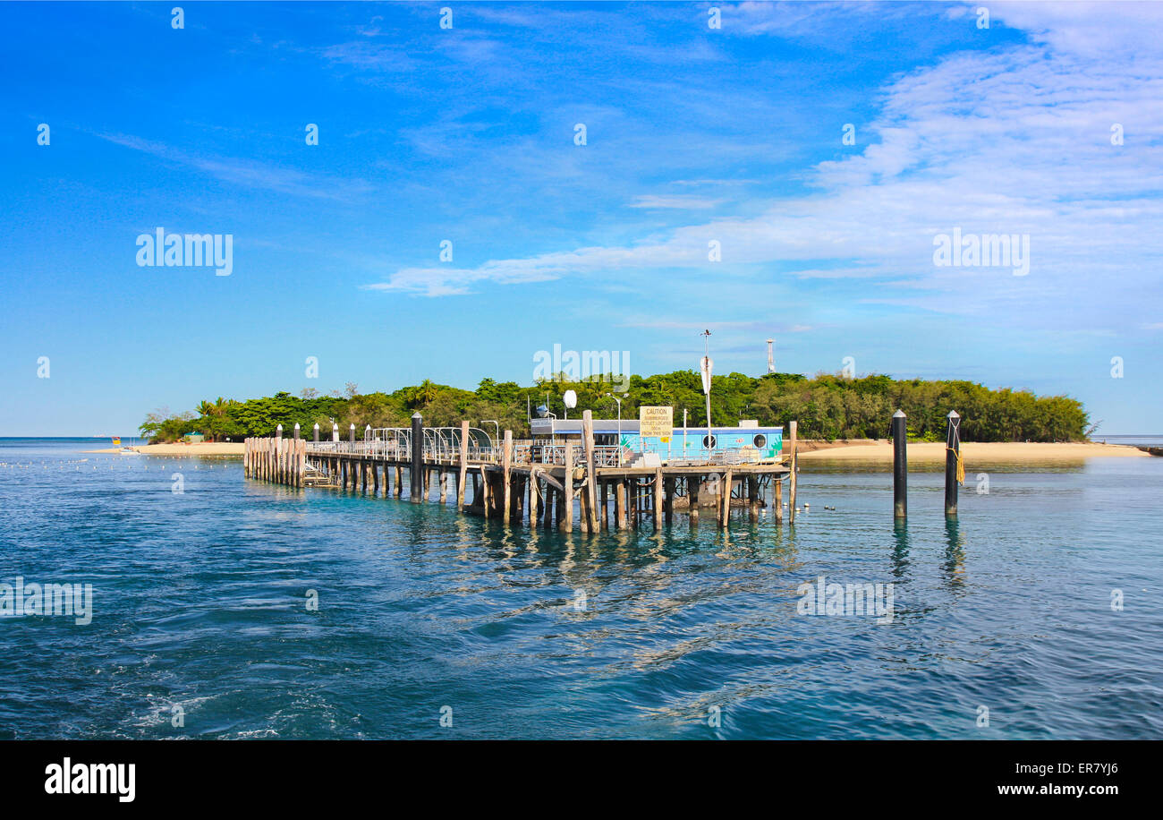 Tropical Green Island, Cairns-Queensland-Australien Stockfoto