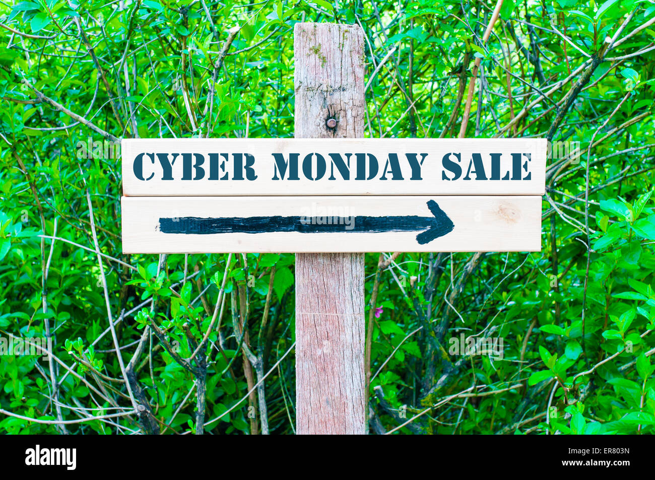 CYBER MONDAY Verkauf gerichtete Holzschild mit Pfeil nach rechts gegen grüne Blätter Hintergrund geschrieben. Konzept-Bild mit verfügbaren Textfreiraum Stockfoto