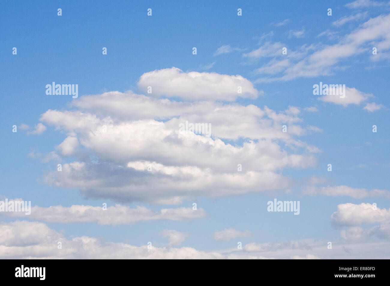 Cumulus-Wolken vor blauem Himmel. Stockfoto