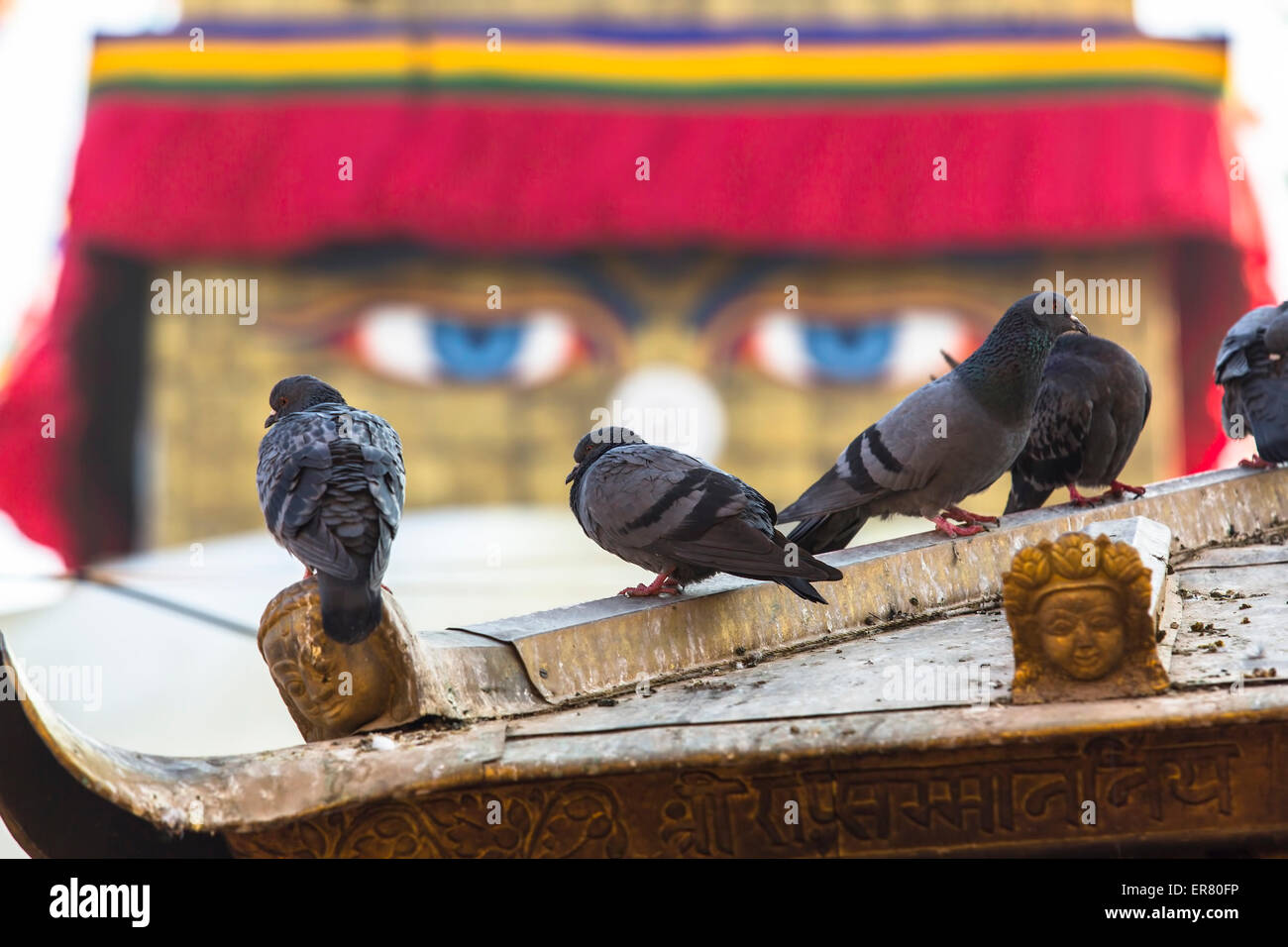 Tauben und Boudhanath Stupa in Hintergrund - Symbol von Nepal. Stockfoto