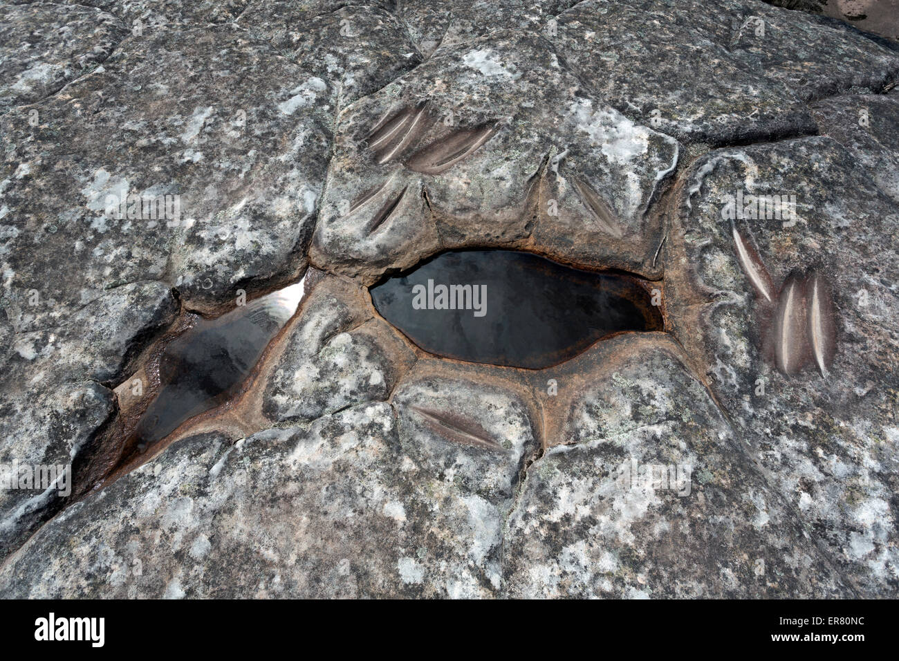 Kings Tableland Aborigines Ort Blue Mountains National Park Wentworth fällt New South Wales Australien Stockfoto