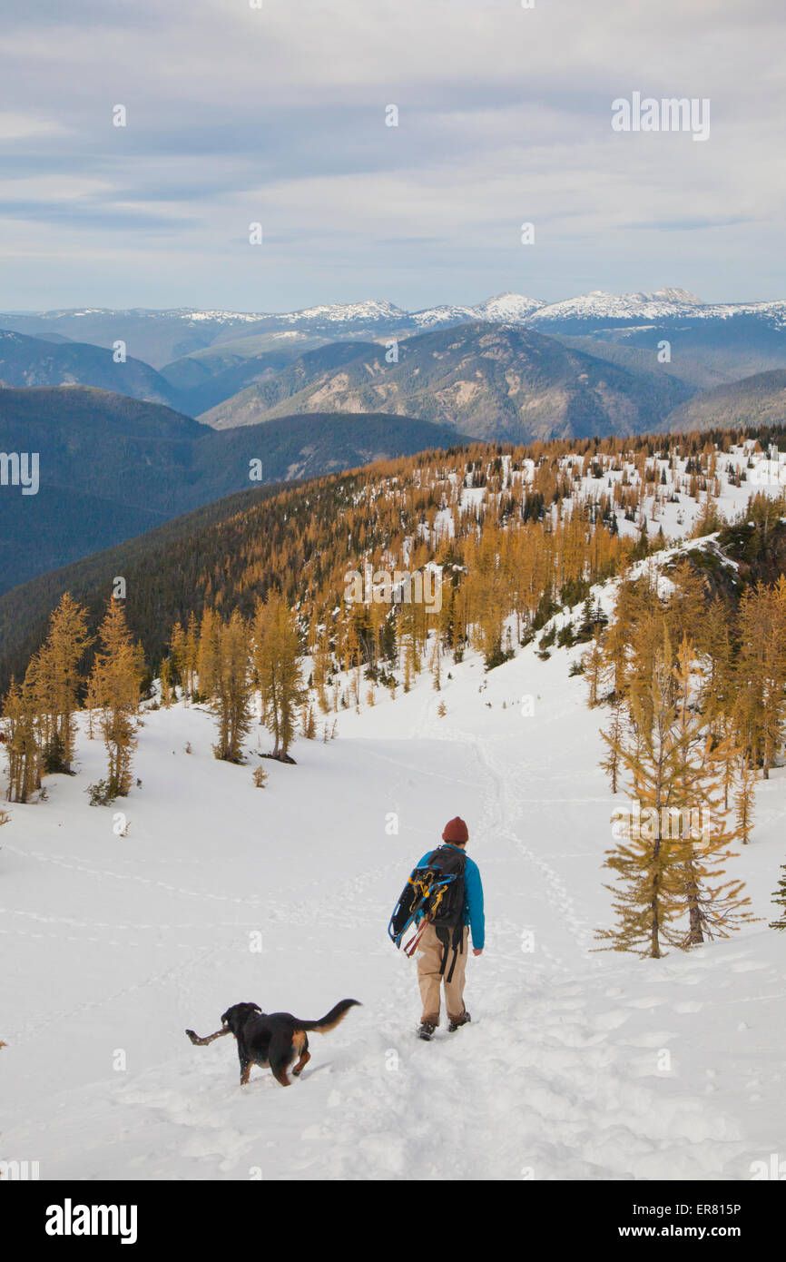 Ein Wanderer und seinem Hund gehen durch ein Schneefeld im Alpenraum. Stockfoto