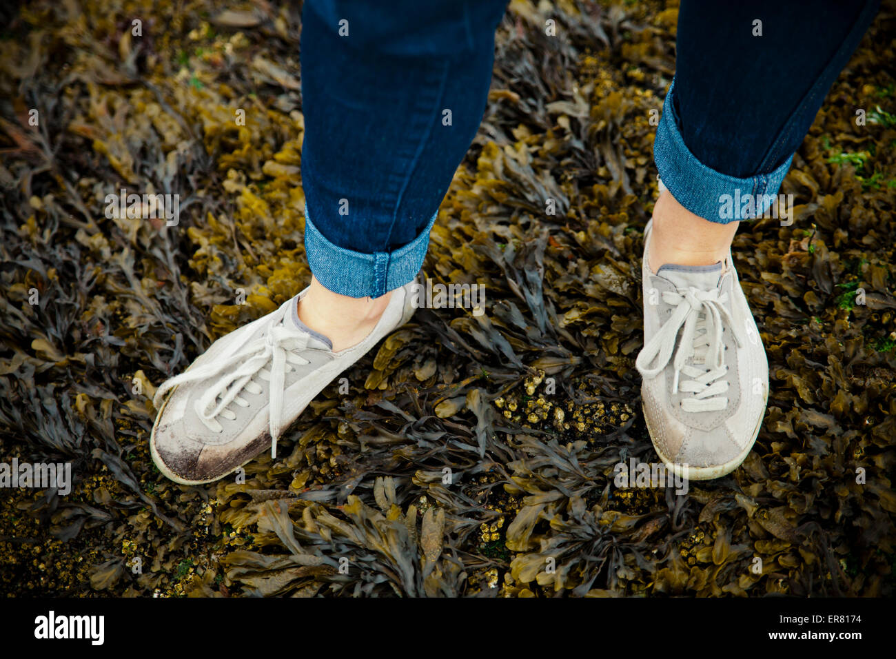 Steht eine Frau mit einfachen Schuhen auf dem Meeresgrund mit Seegras und Seepocken bedeckt Stockfoto