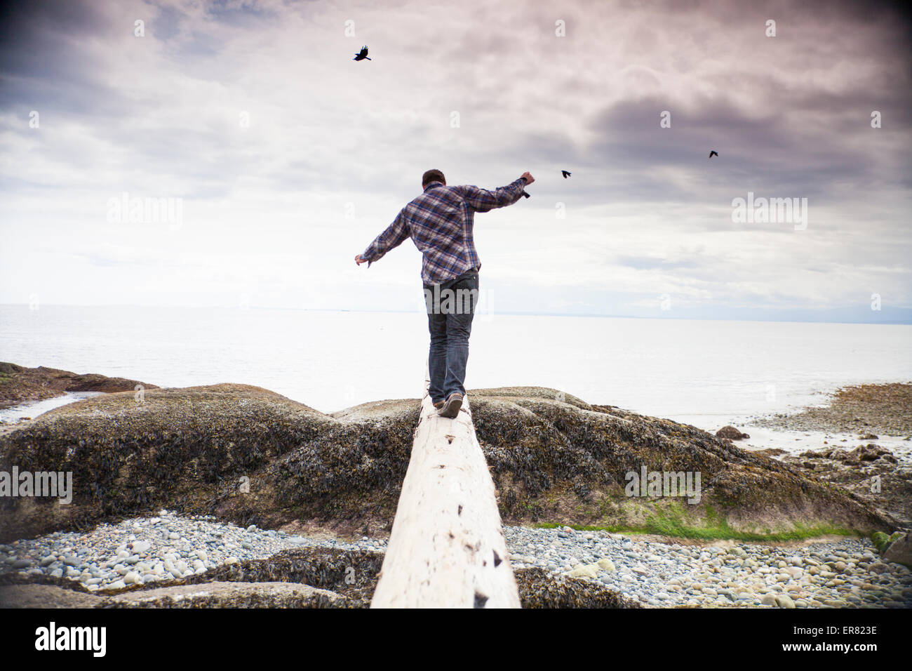 Ein junger Mann balanciert auf einem Baumstamm mit Blick auf den Pazifischen Ozean. Stockfoto