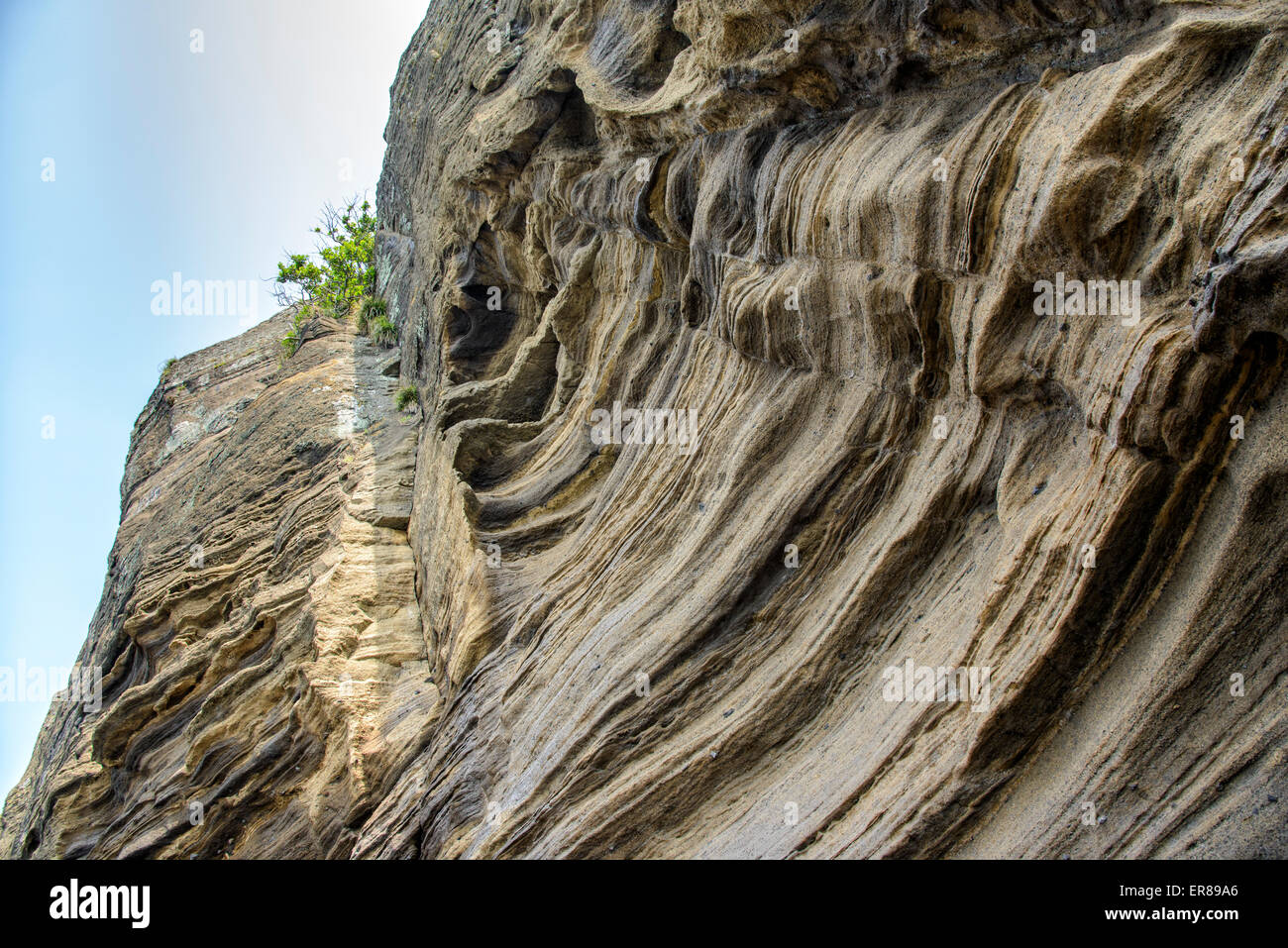 Mehrstöckige geschichteten rau und seltsame Sedimentgesteine im berühmten touristischen Ort Yongmeori Coast(Dragon head coast) in Jeju Island. Stockfoto