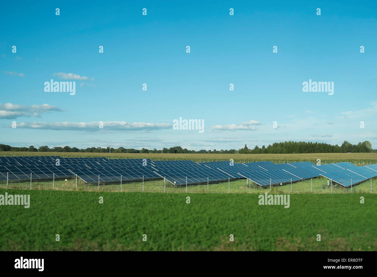 Reihen von Sonnenkollektoren in Feld Stockfoto