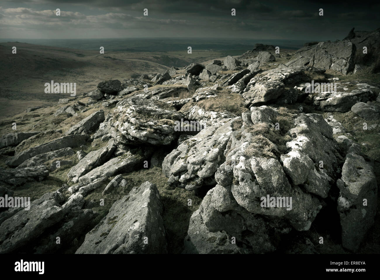 Robuste wilde Landschaft - Dartmoor UK Stockfoto