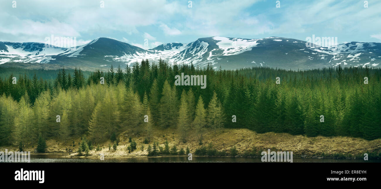 Highland-Berge und Wälder, UK Stockfoto