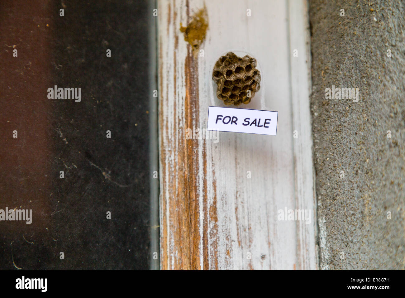 Verlassenen Bienenstock mit hängenden "for Sale" Schild als ein Haus zu verkaufen Stockfoto