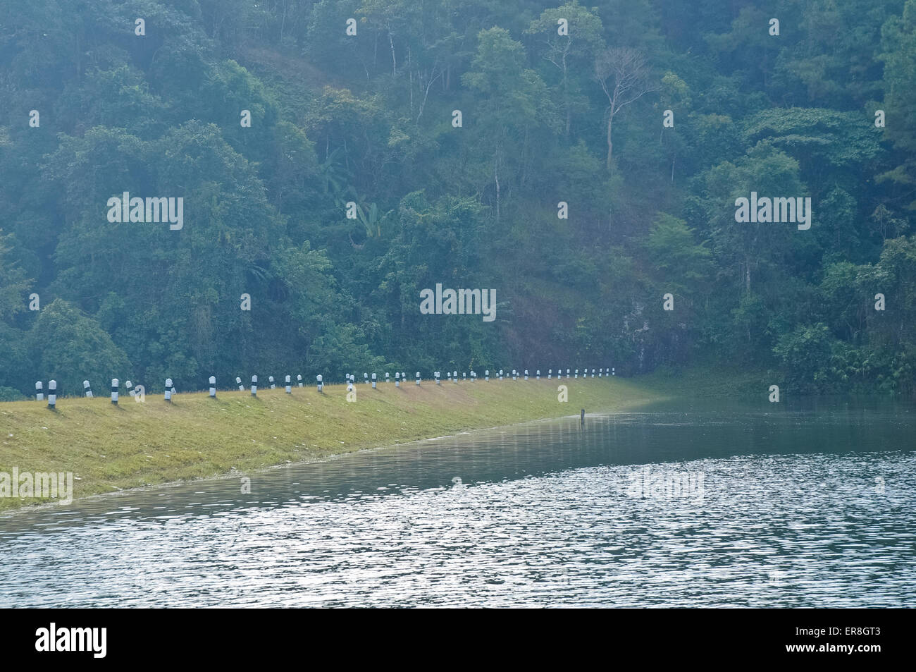 Friedliche und nebligen Morgen in nationalen Reserve Wasserpark im Norden Thailands Stockfoto