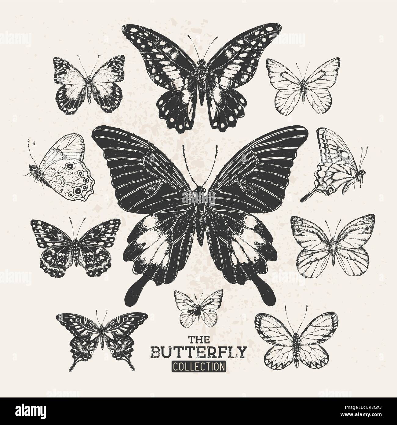 Die Schmetterlingssammlung. Eine Sammlung von handgezeichneten Schmetterlinge, Vintage-Set. Vektor-Illustration. Stock Vektor