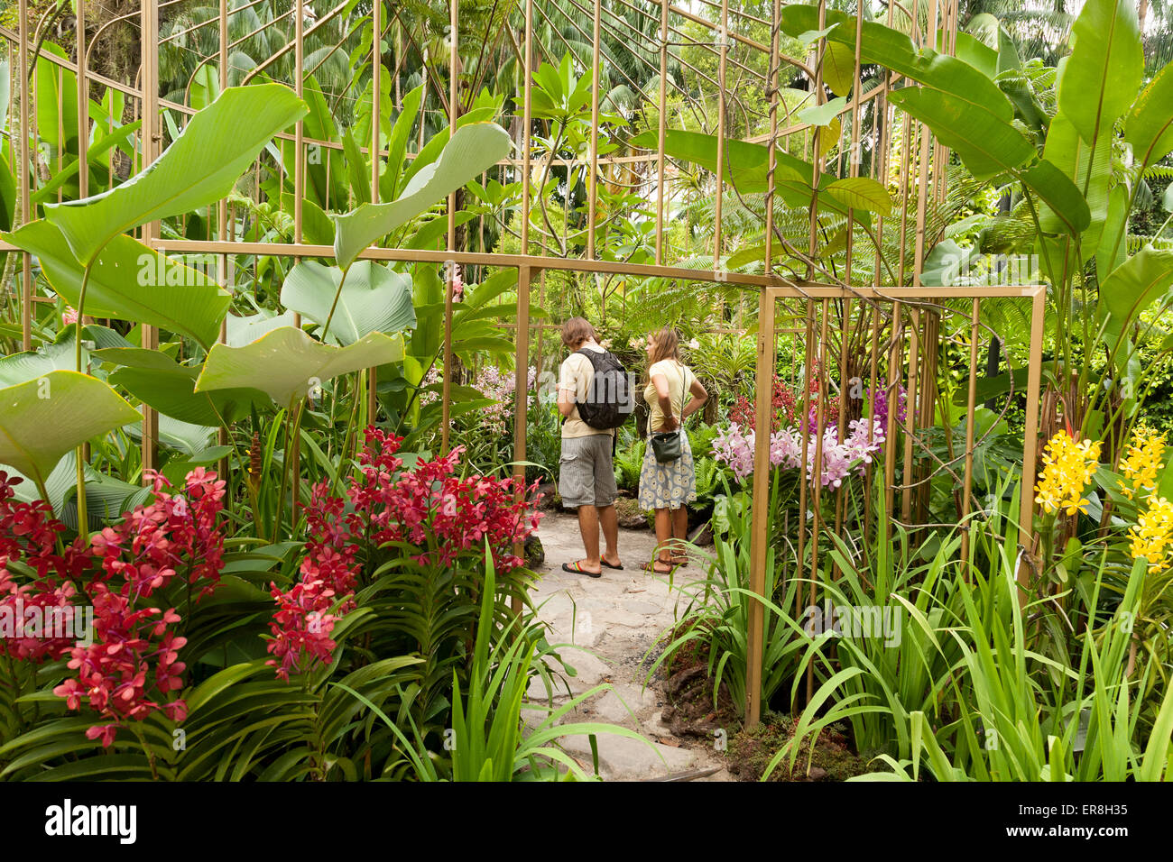 Wenige Touristen betrachten die Orchideen, National Orchid Garden, Singapore Botanic Gardens, Singapur in Südostasien Stockfoto