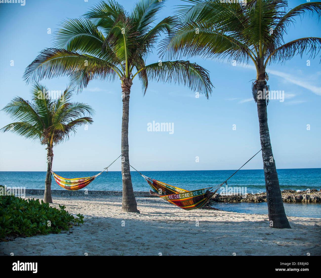 Hängematten an Palmen am Strand gegen Himmel gebunden Stockfoto