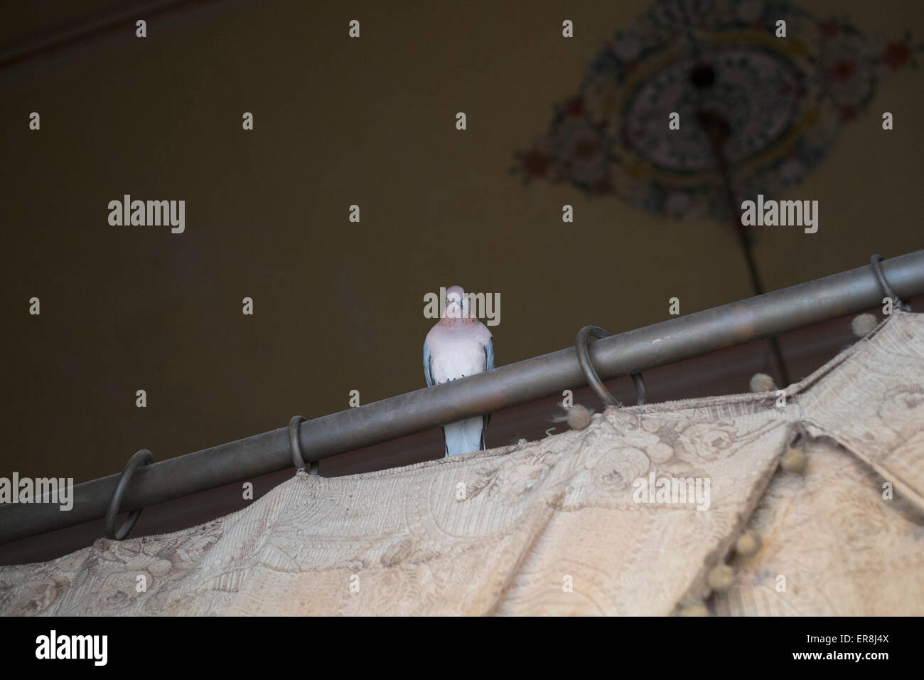 Gardinenstange -Fotos und -Bildmaterial in hoher Auflösung – Alamy