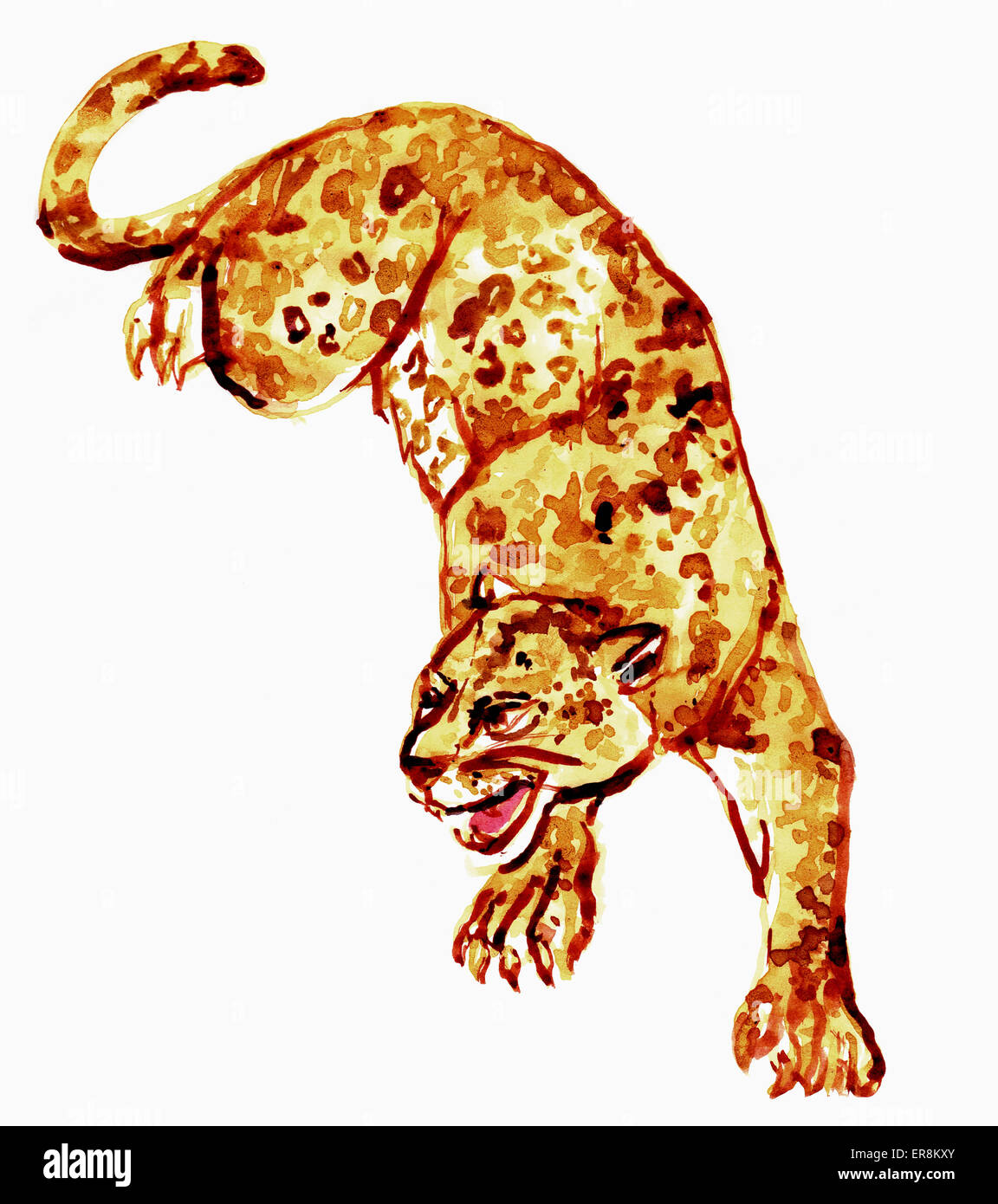 Illustration der Gepard vor weißem Hintergrund Stockfoto