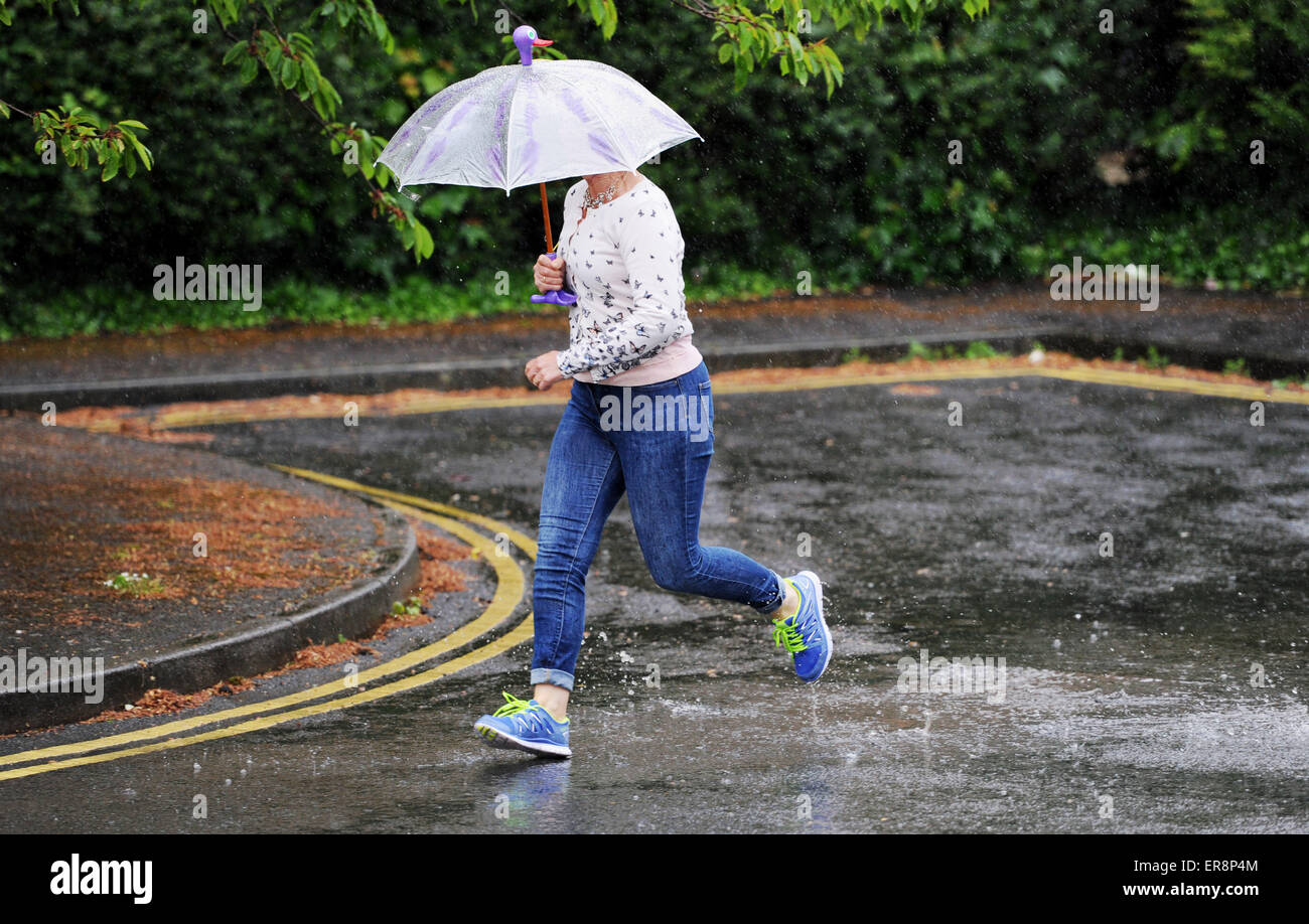 Brighton UK 26. Mai 2015 - eine Frau wird bei sintflutartigen Regen erwischt, wie sie in einer Straße in Brighton heute mit nassen und windigen Wetter Prognose für Süd-Ost dies am Nachmittag Kredit läuft: Simon Dack/Alamy Live News Stockfoto