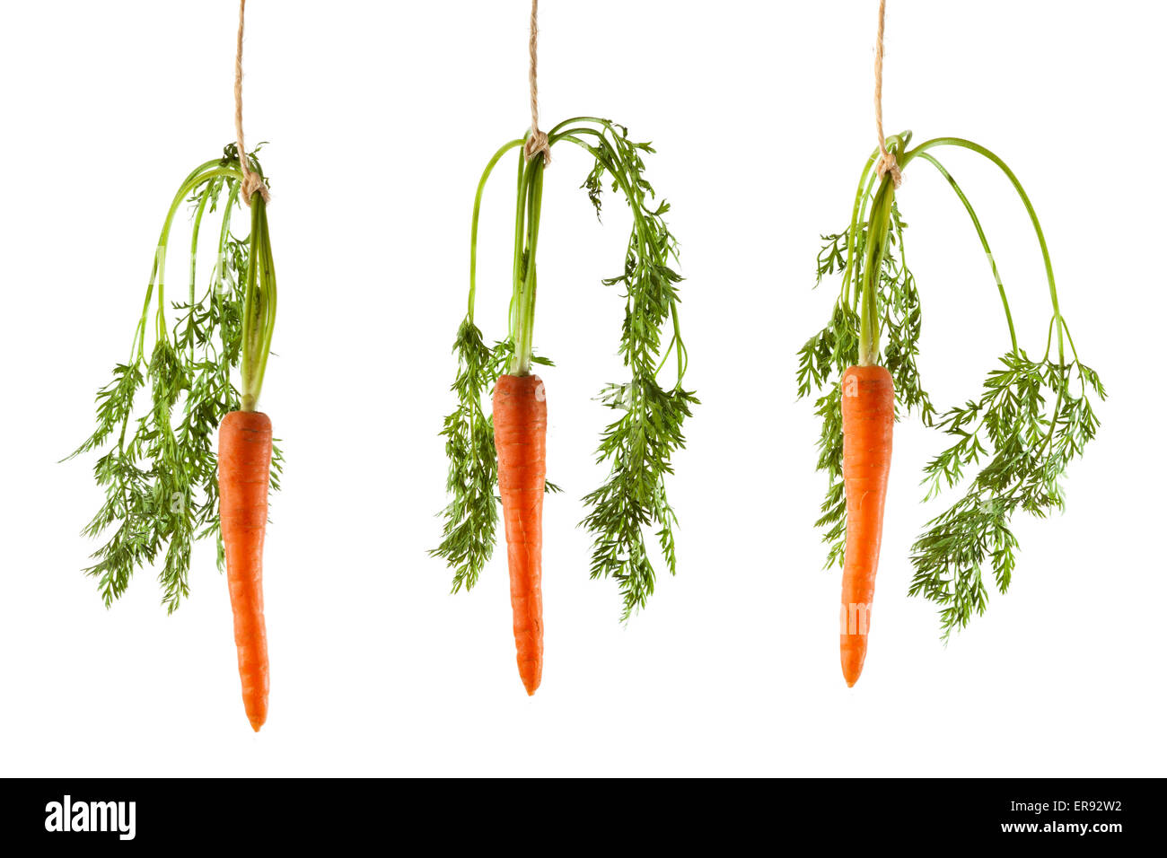 Drei Karotten hängen an einer Schnur auf einem weißen Hintergrund als ein Konzept der motivation Stockfoto