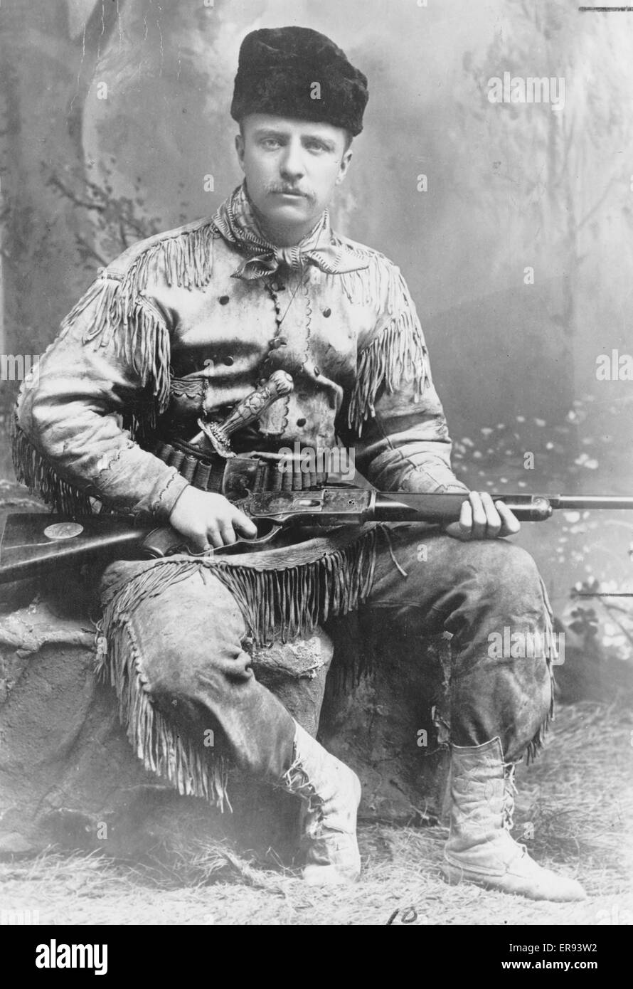 Theodore Roosevelt 1885 Stockfoto