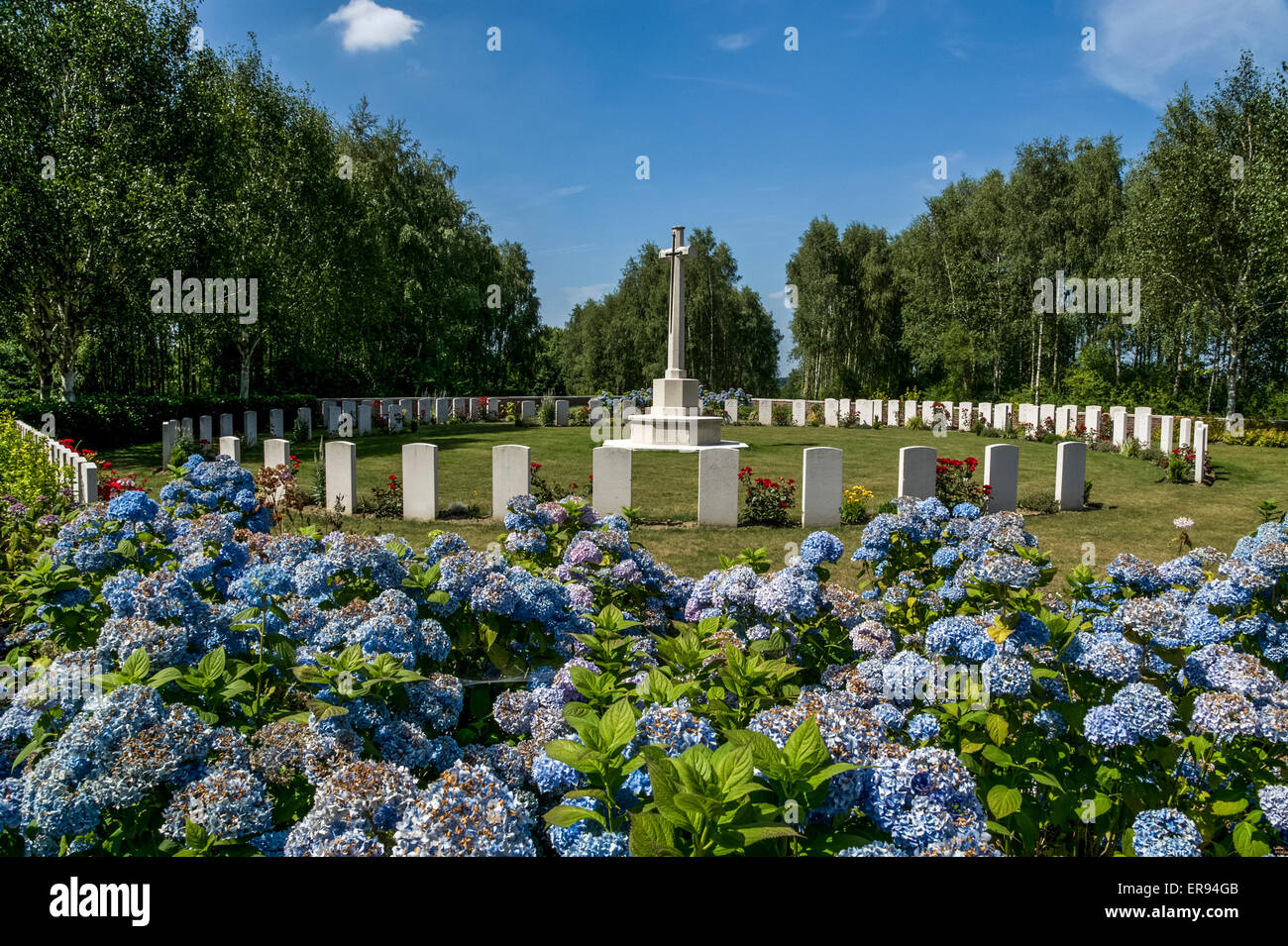 Hecke Soldatenfriedhof Stockfoto