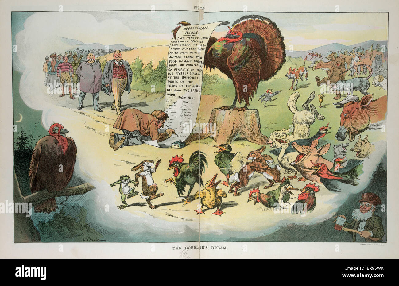 Die Gobbler Traum. Abbildung zeigt einen Truthahn auf einem Ast sitzen  träumen von vegetarischen Pfand und unzählige Menschen Schlange, um melden  Sie ihren Namen und die Wild- und Tiere lachen; in der