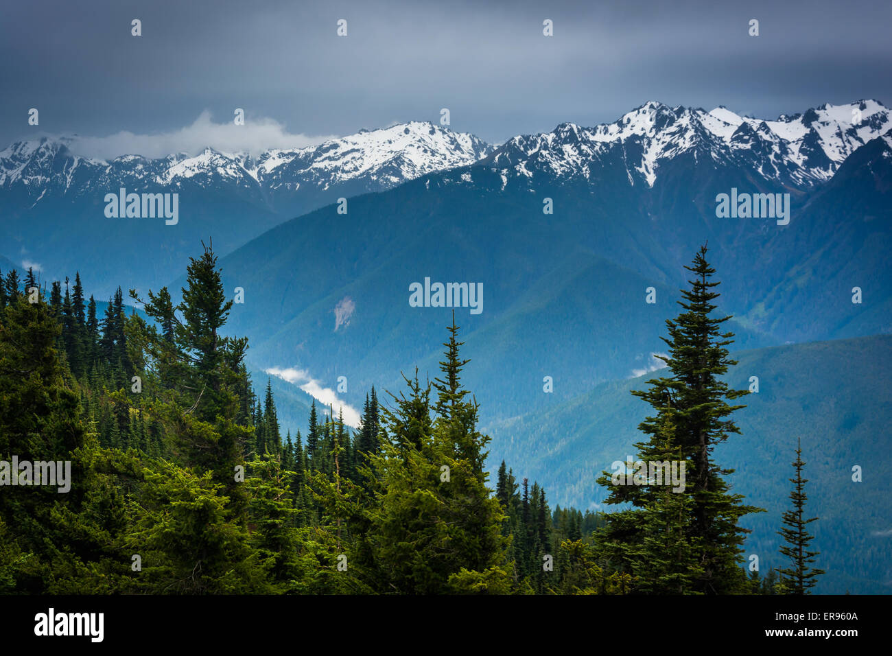 Blick auf die verschneiten Olympic Mountains von Hurricane Ridge, in Olympic Nationalpark, Washington. Stockfoto