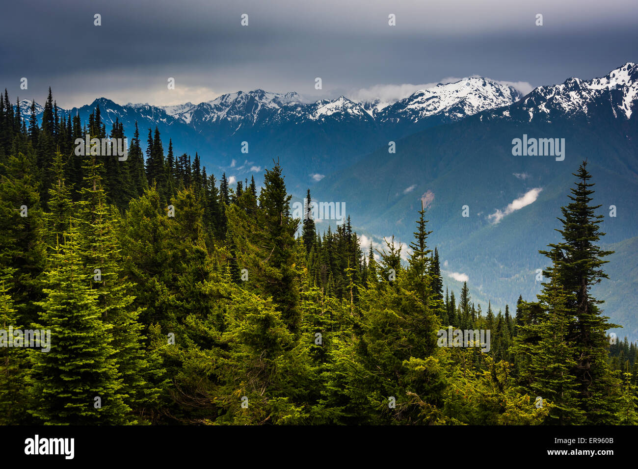 Blick auf die verschneiten Olympic Mountains von Hurricane Ridge, in Olympic Nationalpark, Washington. Stockfoto
