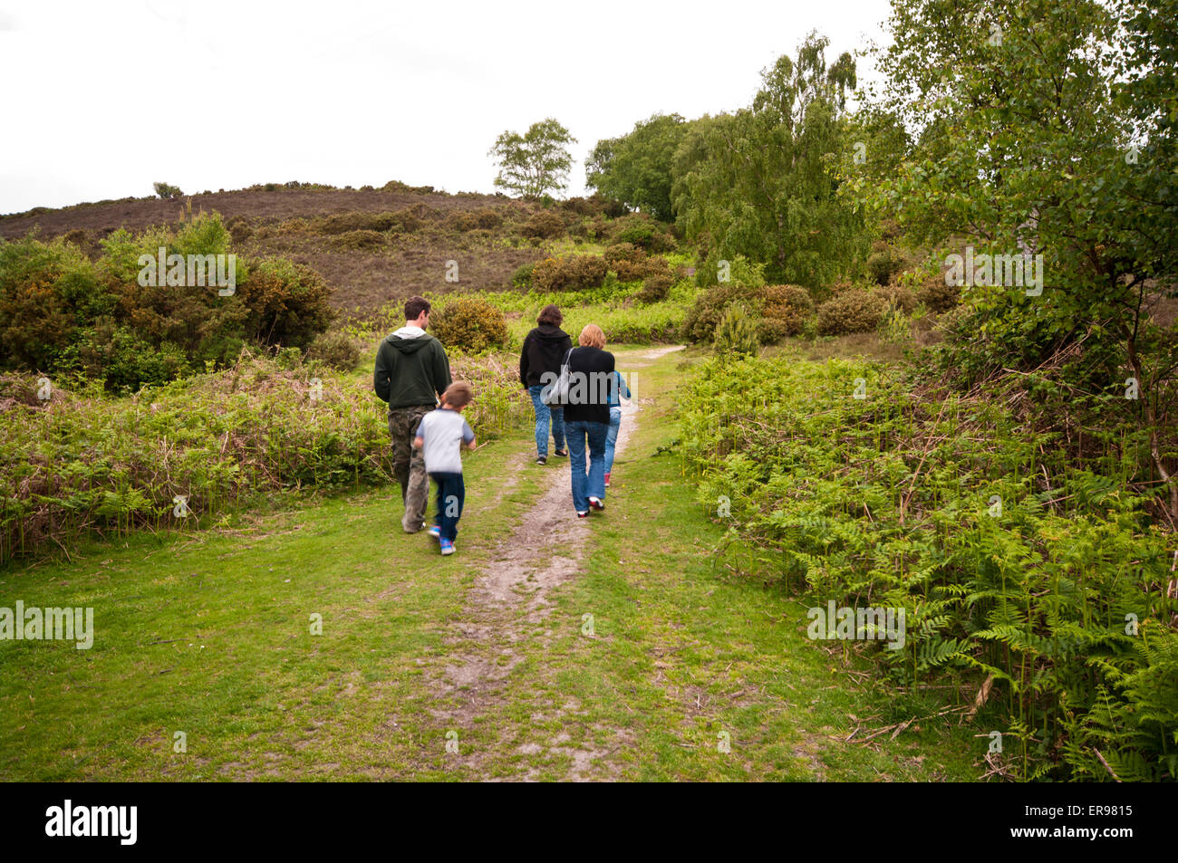 Hintere Ansicht von A Familie zu Fuß durch die Landschaft Stockfoto