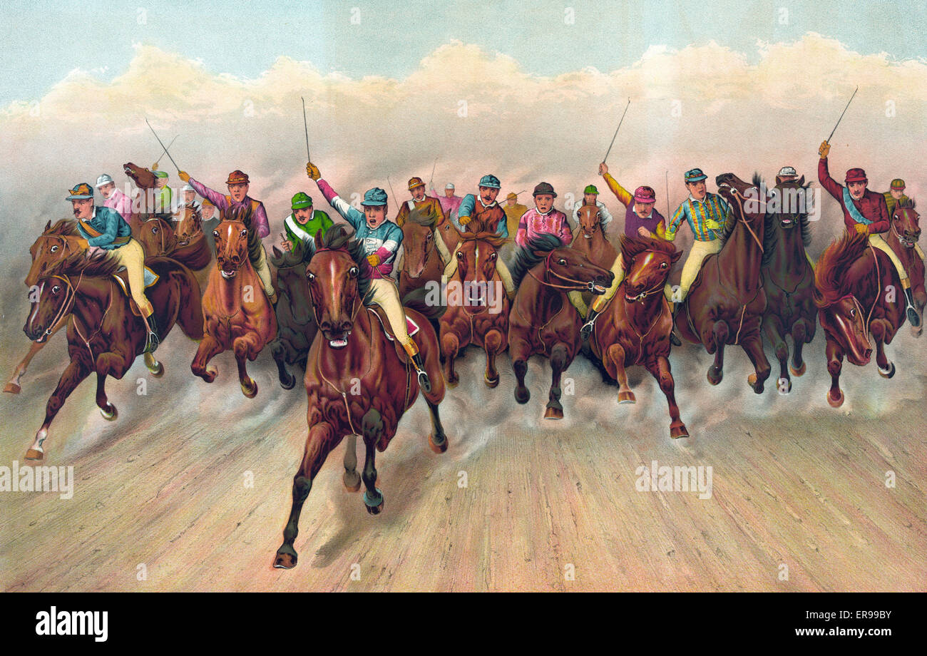 Pferde in einem Rennen, Pferderennen Stockfoto