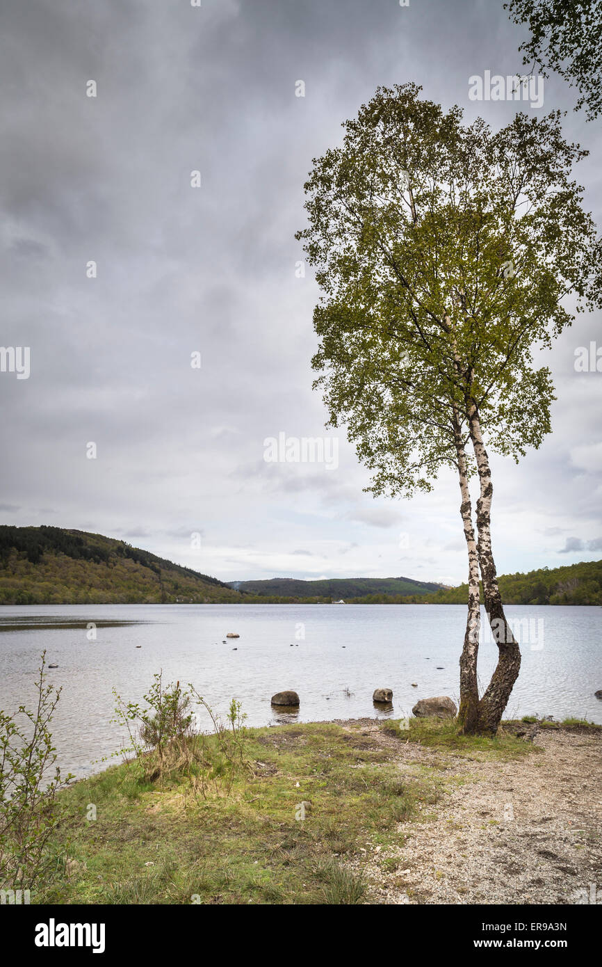 Loch Achilty in den schottischen Highlands. Stockfoto