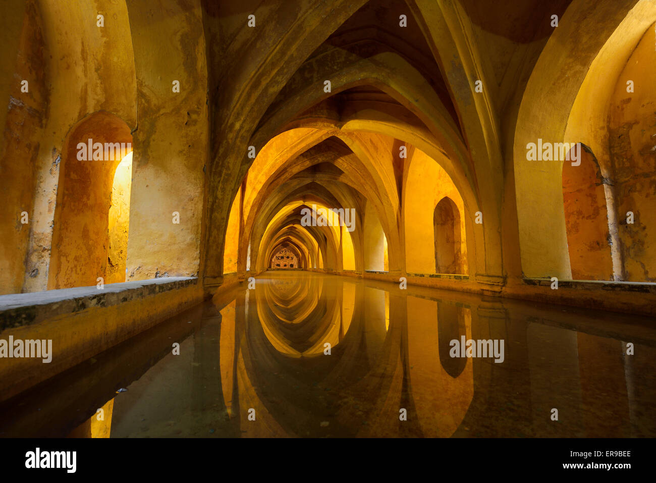 Die Bäder von Lady Mary Peters Regenwasser tank Pool unter Alcazar Palast Sevilla Andalusien Spanien Stockfoto