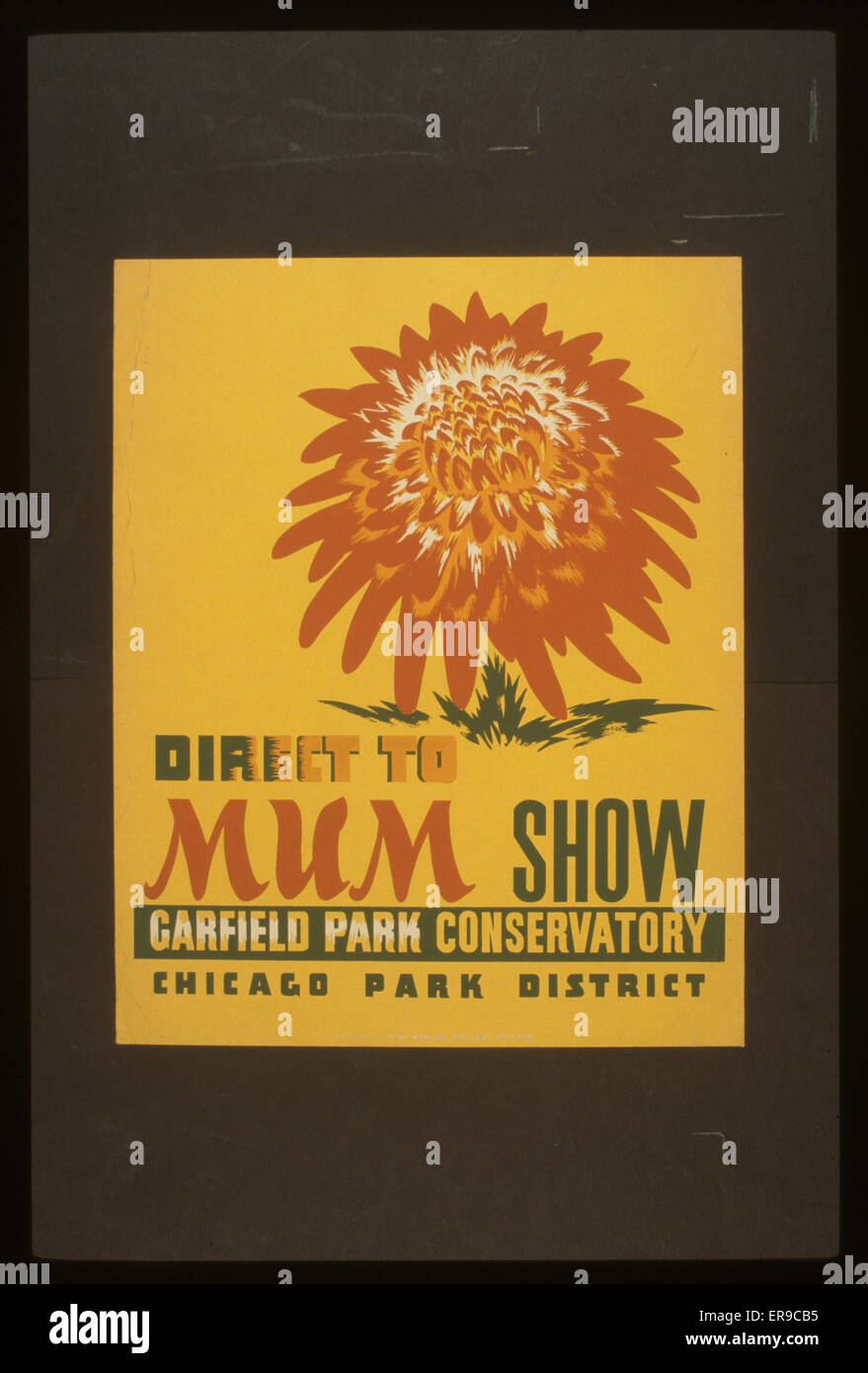 Direkt zur Mum Show, Garfield Park Conservatory Stockfoto